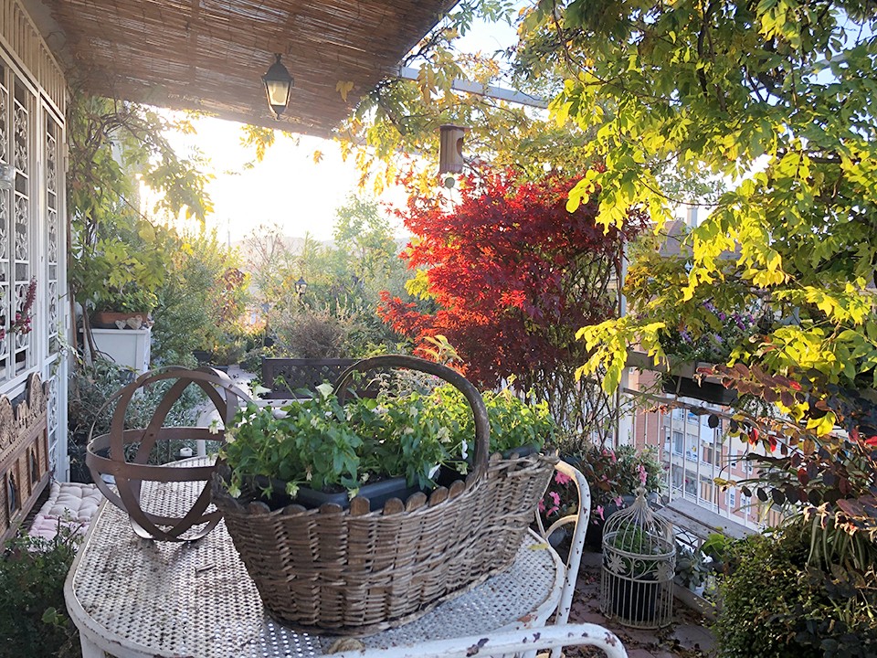 Foto 19-11-22, 08 18 50